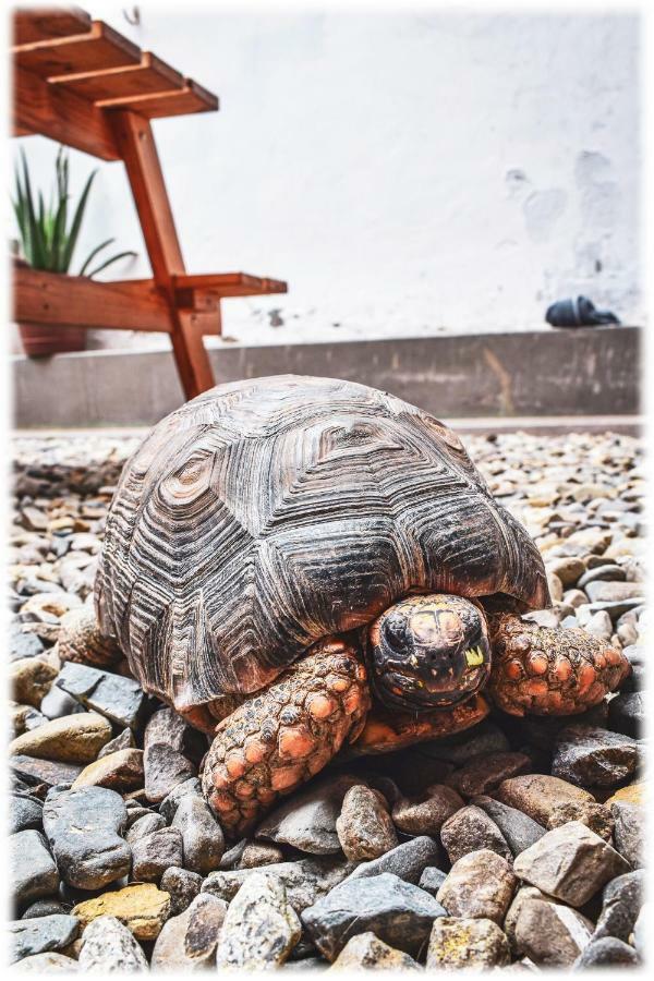 Atma Hostel & Yoga Huanchaco Exterior photo